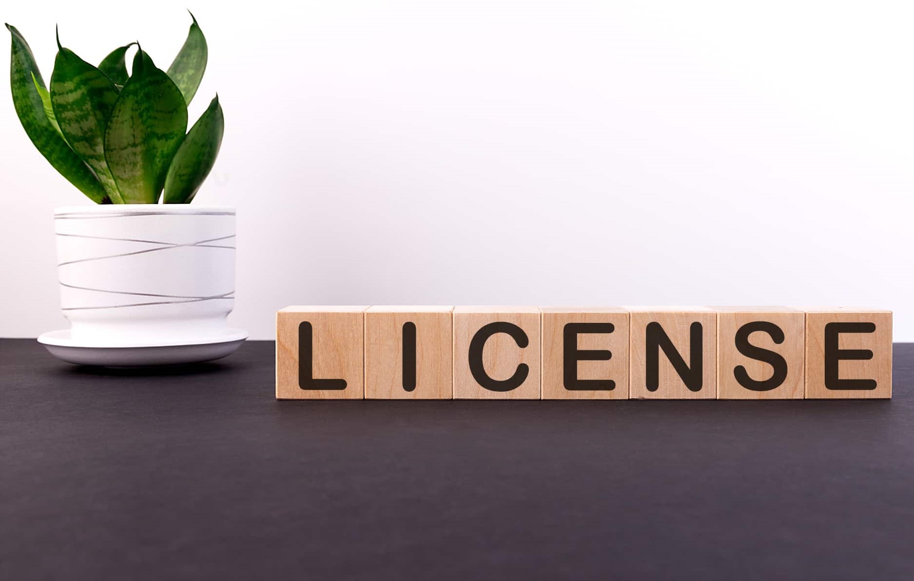 Регуляторні питання