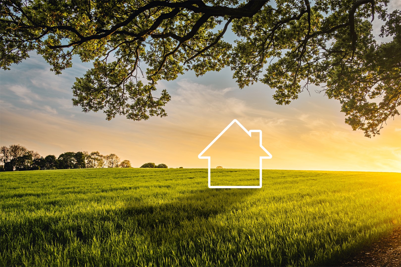 Земля і нерухомість